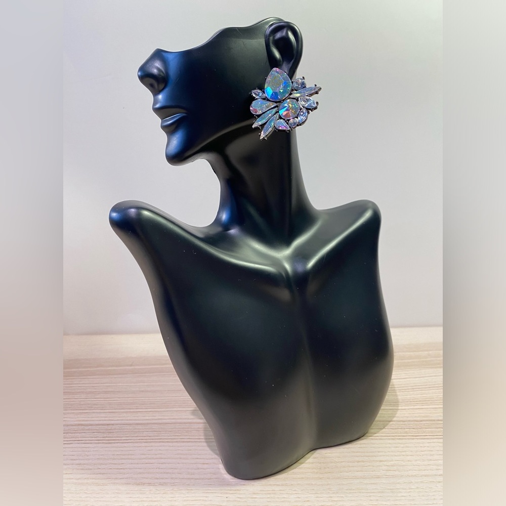 H&M Sparkly Gem Earrings (NWT)